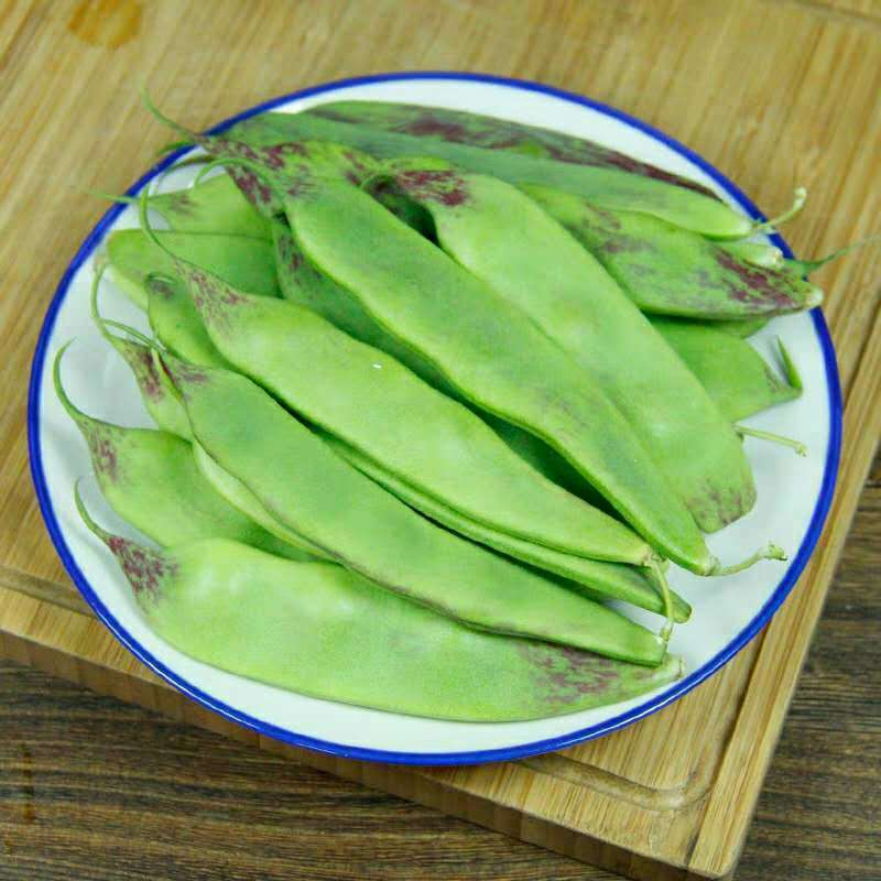 SEED PACKET: Chinese Oil Beans Main Image